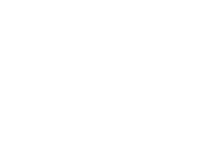 Dunleer Logo in white